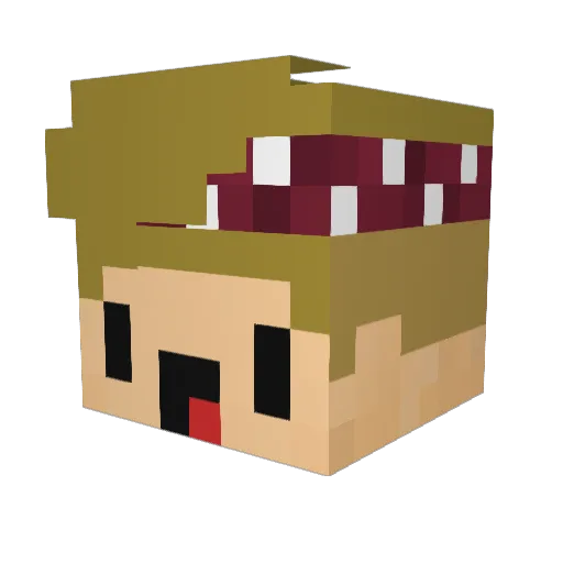 TST_Leise Minecraft avatar head, 3D render