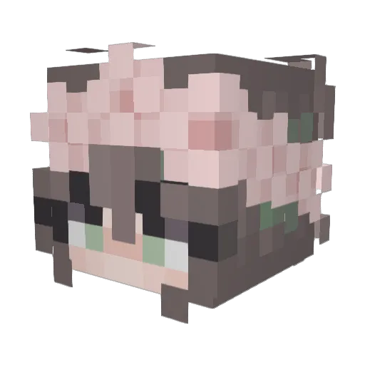 TSUBASA0803 Minecraft avatar head, 3D render