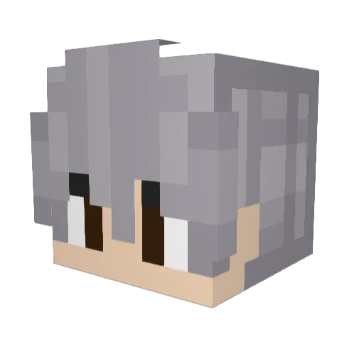 TSW_Sanka Minecraft avatar head, 3D render
