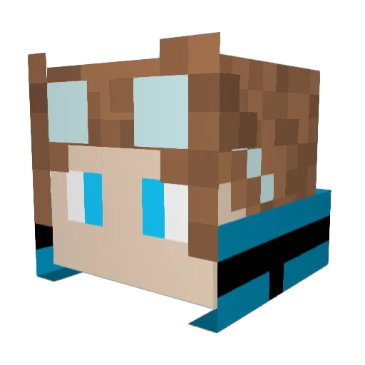 TSXXD Minecraft avatar head, 3D render