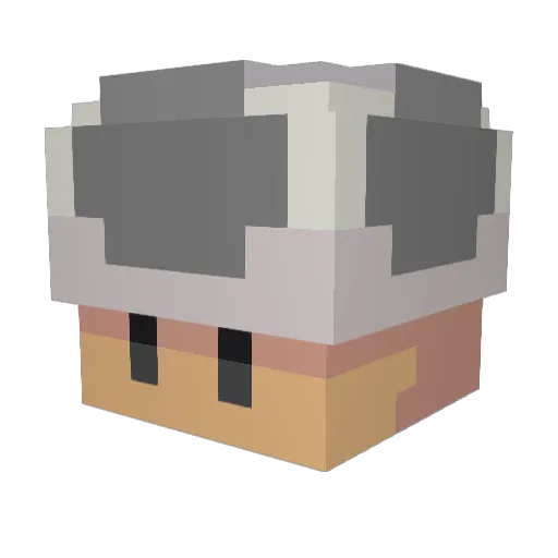 TS_2001 Minecraft avatar head, 3D render