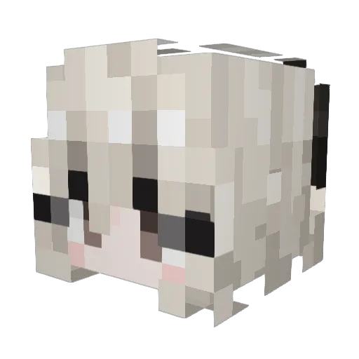 TS_GW Minecraft avatar head, 3D render
