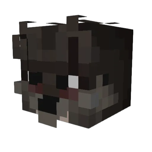 TSaVv1 Minecraft avatar head, 3D render