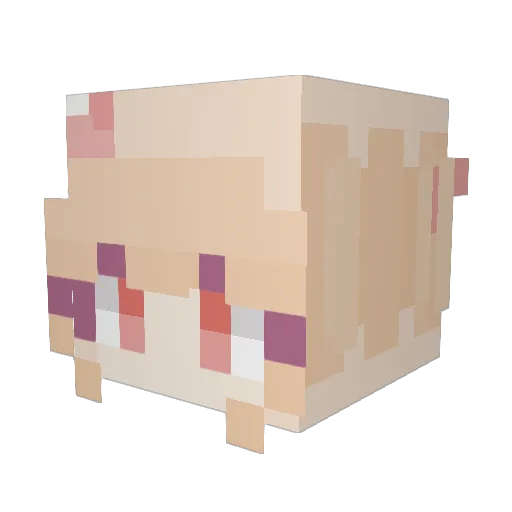 TScubes Minecraft avatar head, 3D render