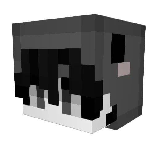 TSecret Minecraft avatar head, 3D render