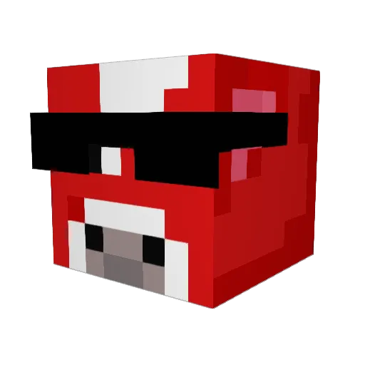 TShanks11 Minecraft avatar head, 3D render
