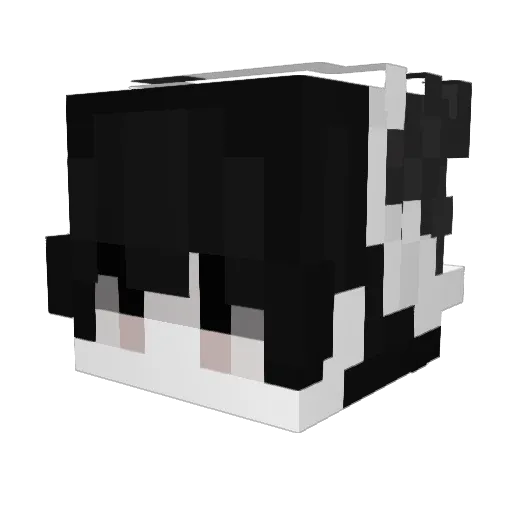 TShuang Minecraft avatar head, 3D render