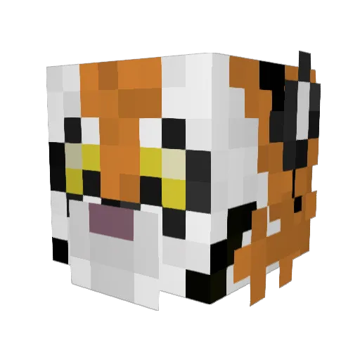 TSully777 Minecraft avatar head, 3D render