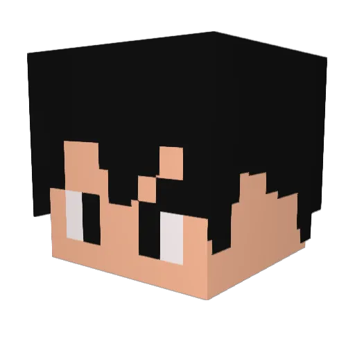 TT20031113 Minecraft avatar head, 3D render