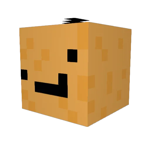 TT307 Minecraft avatar head, 3D render