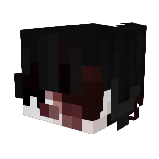 TTCarlos_SR Minecraft avatar head, 3D render