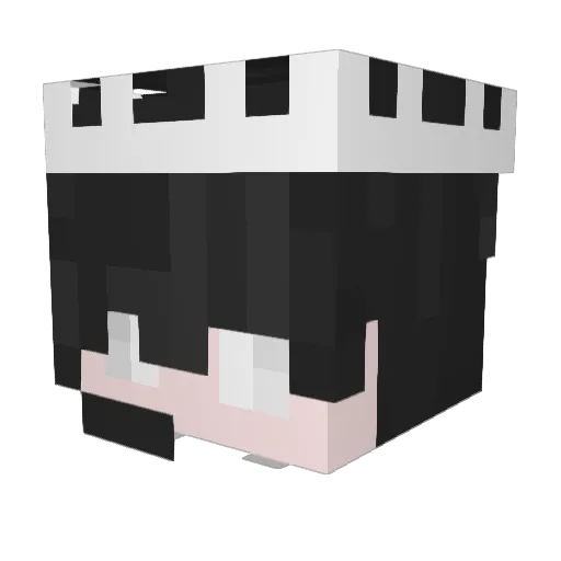 TTGunfire34 Minecraft avatar head, 3D render