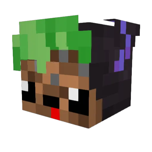 TTHPSnoopBonez Minecraft avatar head, 3D render