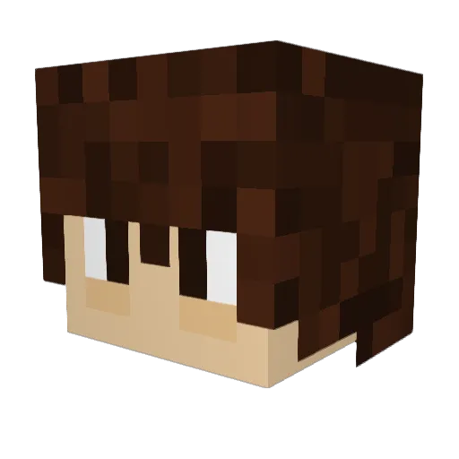 TTJoe Minecraft avatar head, 3D render