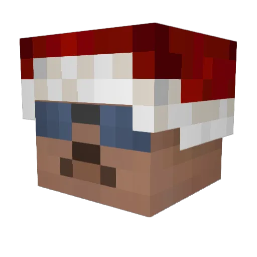 TTMeneses Minecraft avatar head, 3D render