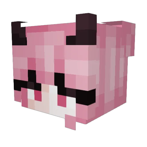 TTNarwhals Minecraft avatar head, 3D render