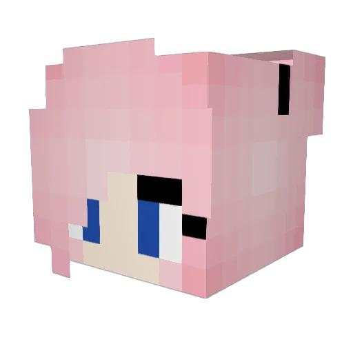TTOKRizzo Minecraft avatar head, 3D render