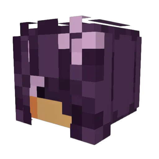 TTP_ORLANDO Minecraft avatar head, 3D render