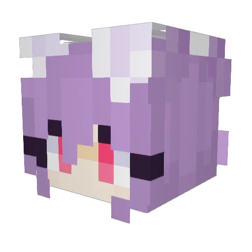 TTToastie Minecraft avatar head, 3D render