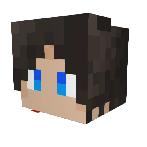 TTTraven Minecraft avatar head, 3D render