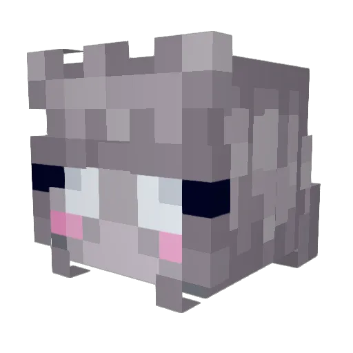 TTTzT Minecraft avatar head, 3D render