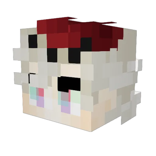 TTUYUHUI Minecraft avatar head, 3D render
