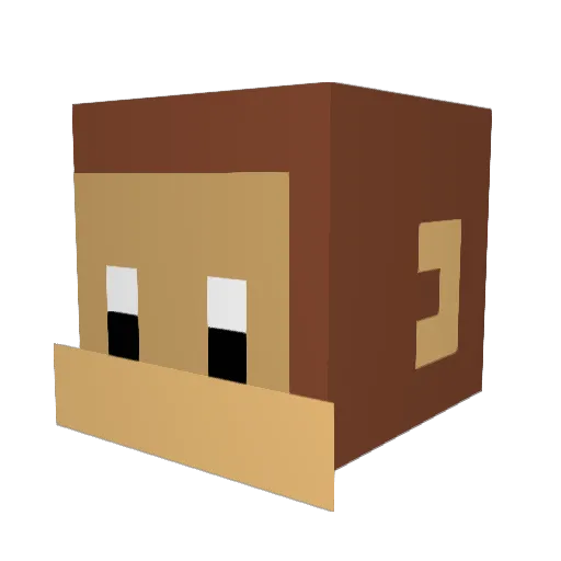 TTU_GAMES Minecraft avatar head, 3D render