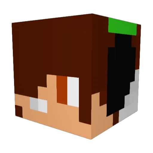 TTVAnderman800 Minecraft avatar head, 3D render