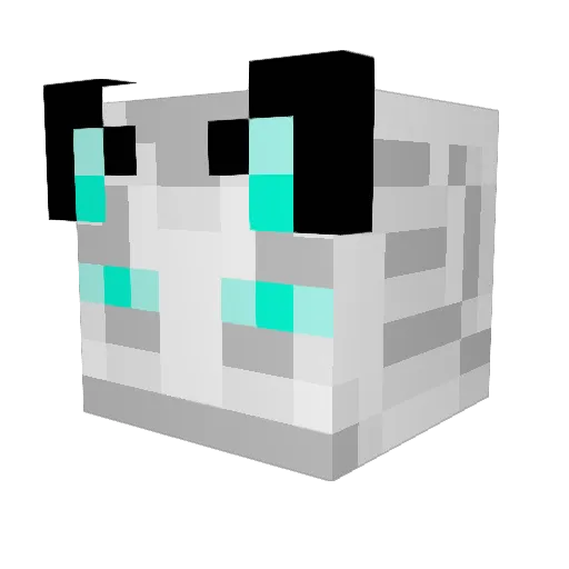 TTVClips76 Minecraft avatar head, 3D render