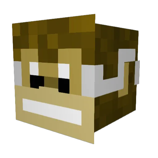 TTVDarkPC Minecraft avatar head, 3D render