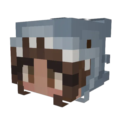TTV_ViXGRiD Minecraft avatar head, 3D render