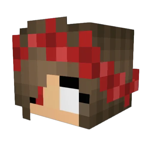 TTVcmubro Minecraft avatar head, 3D render
