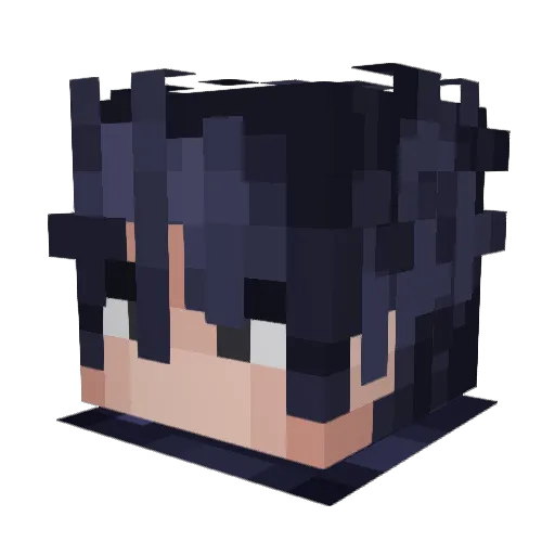 TTVzexz1 Minecraft avatar head, 3D render