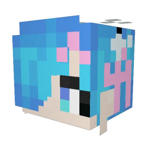 TTW317 Minecraft avatar head, 3D render