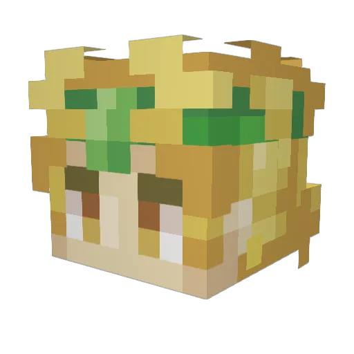 TTYChinaYES Minecraft avatar head, 3D render