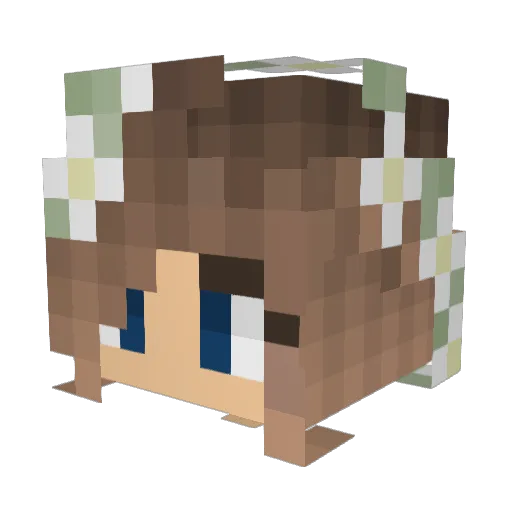 TT_Kiki48 Minecraft avatar head, 3D render