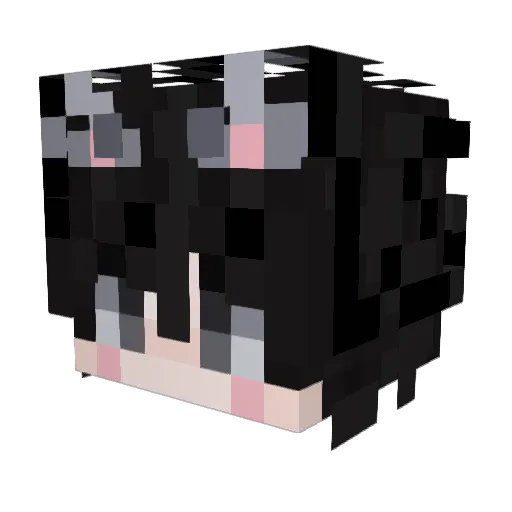 TT_Shadow_TT Minecraft avatar head, 3D render