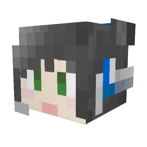TTdada1 Minecraft avatar head, 3D render