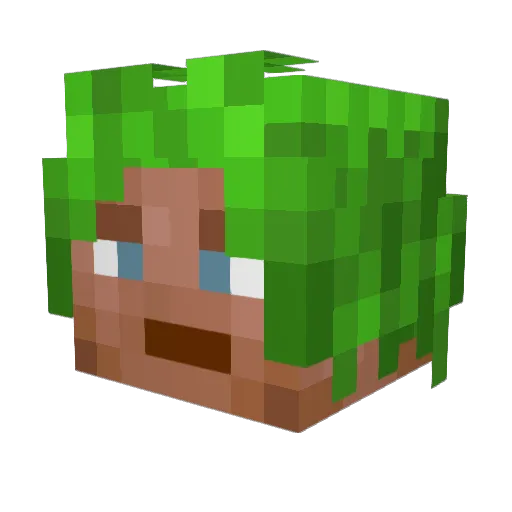 TTheLookingGlass Minecraft avatar head, 3D render