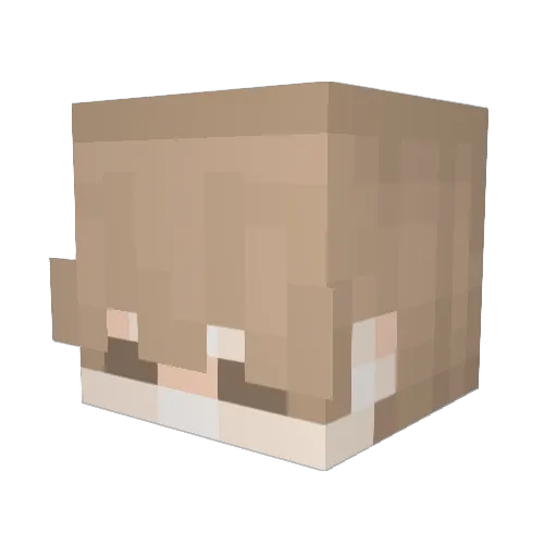 TThomas311 Minecraft avatar head, 3D render