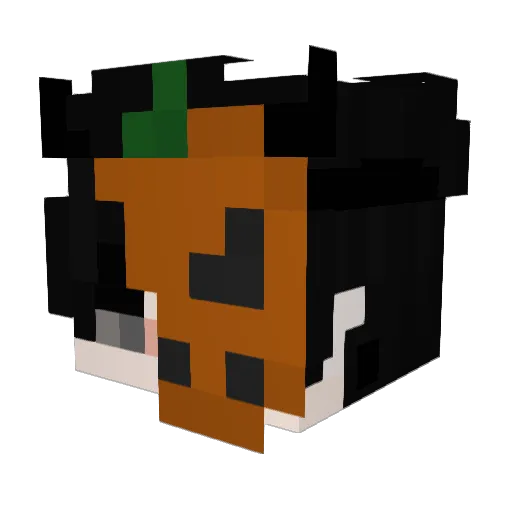 TTvBaiano Minecraft avatar head, 3D render