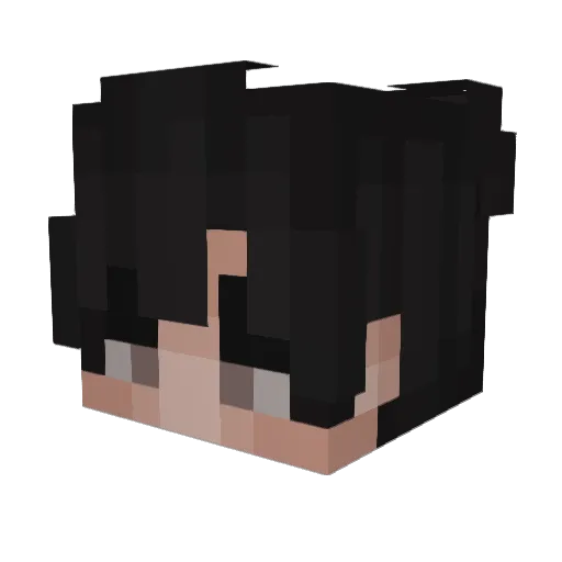 TTywka Minecraft avatar head, 3D render