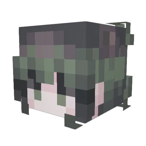 TTz2005 Minecraft avatar head, 3D render