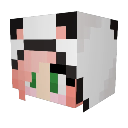 TUE2 Minecraft avatar head, 3D render