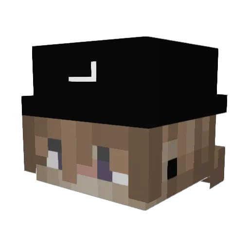 TUFFIWYD Minecraft avatar head, 3D render