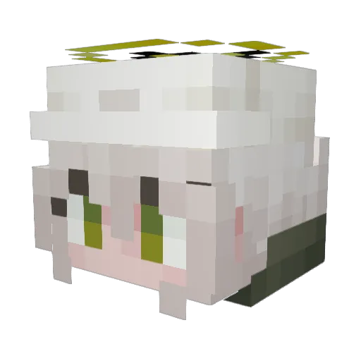 TUJANG123 Minecraft avatar head, 3D render