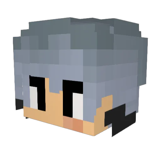 TUKISUN Minecraft avatar head, 3D render