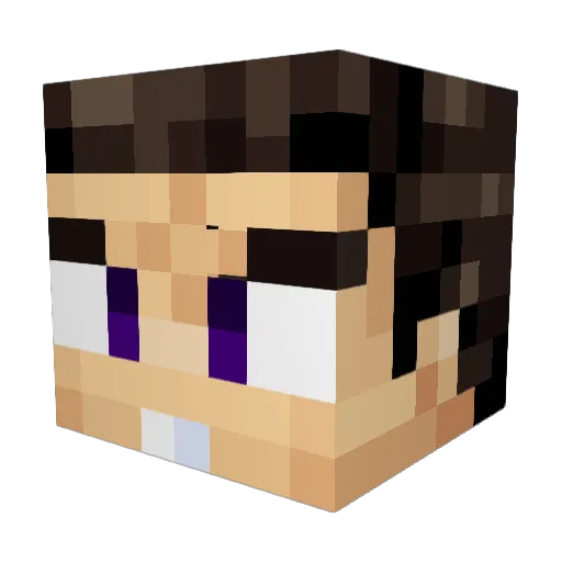 TUKY_12 Minecraft avatar head, 3D render