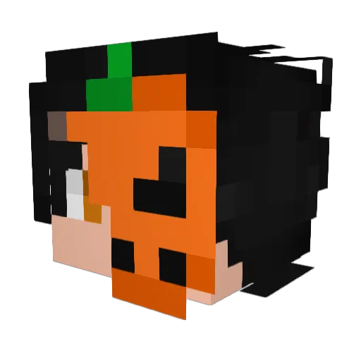 TULIOOOOOBACKK Minecraft avatar head, 3D render