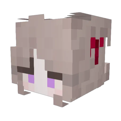 TUMMEIRO Minecraft avatar head, 3D render